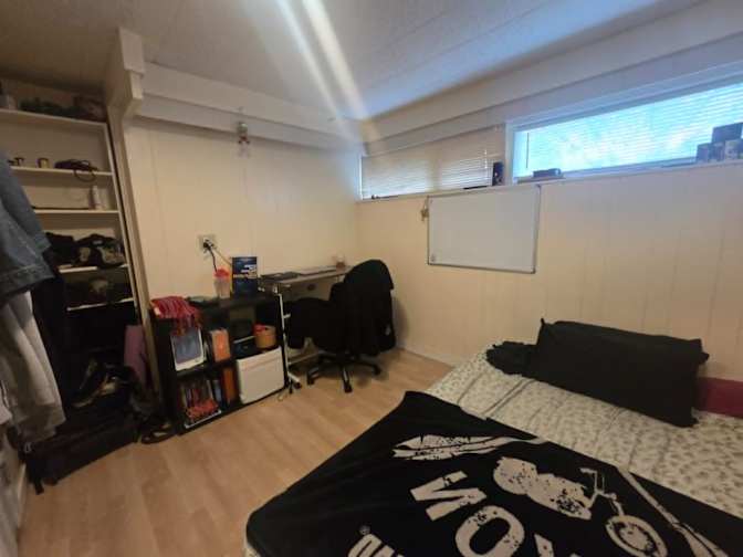 Dragan's room