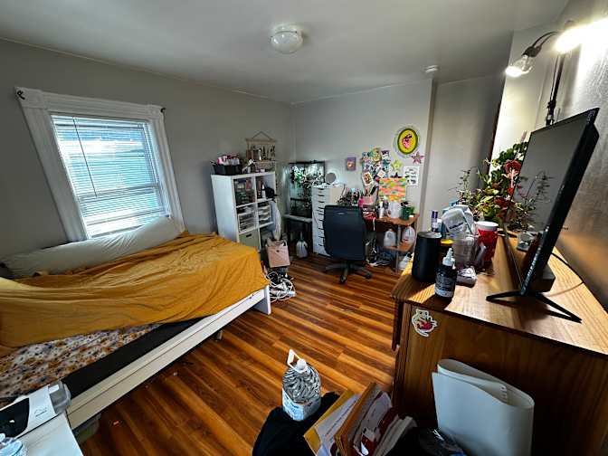 Willow's room
