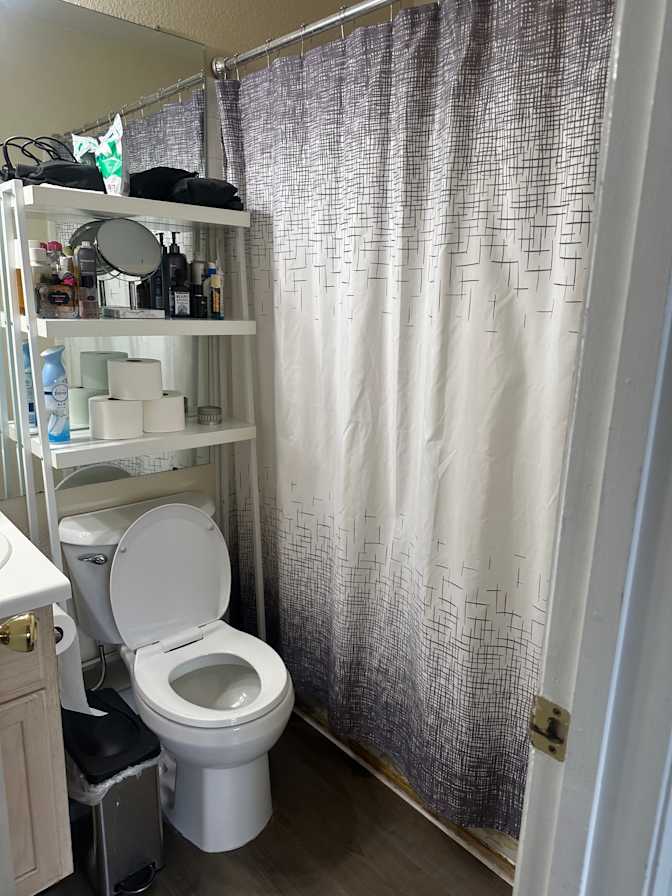 Elise's room