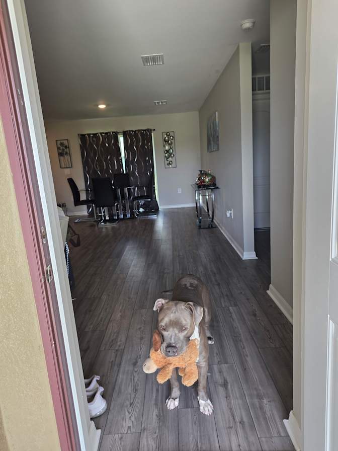 James's room