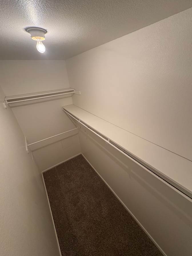 Sophia Ridley's room