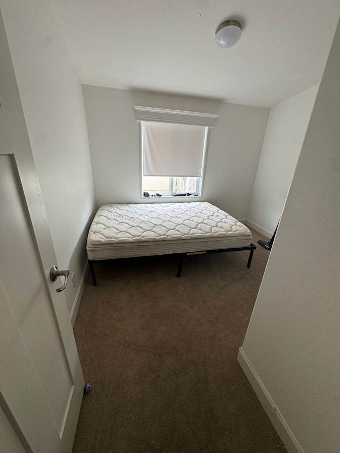 Michelle Carroll's room