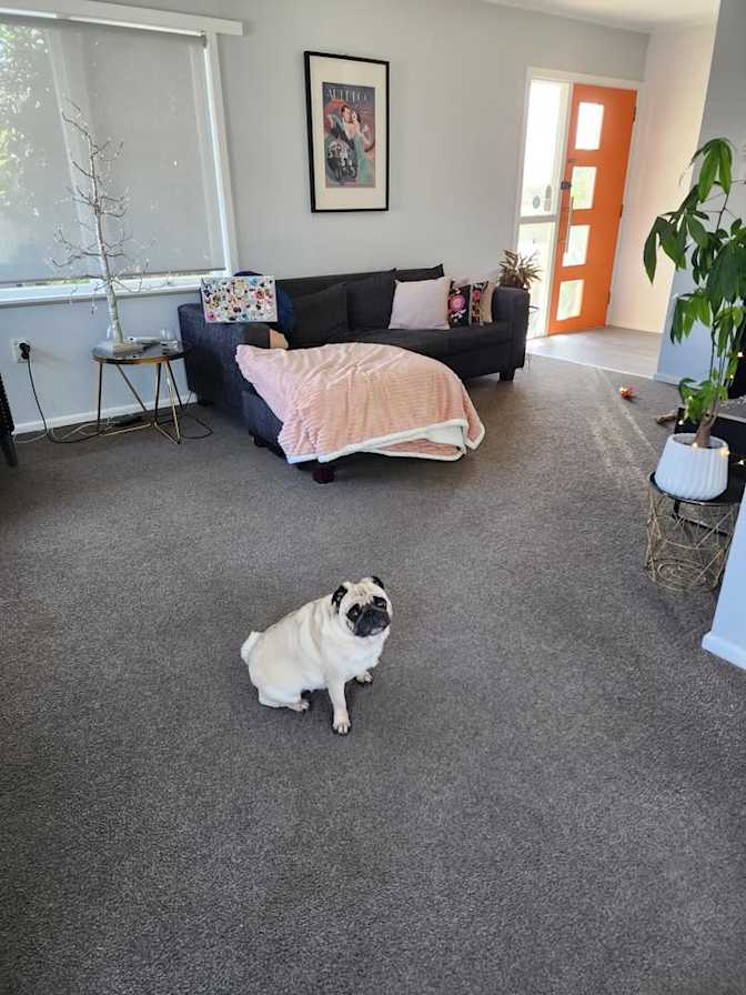 Natalie Wright's room