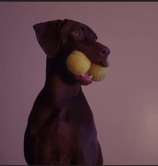 Paul or Xander's room