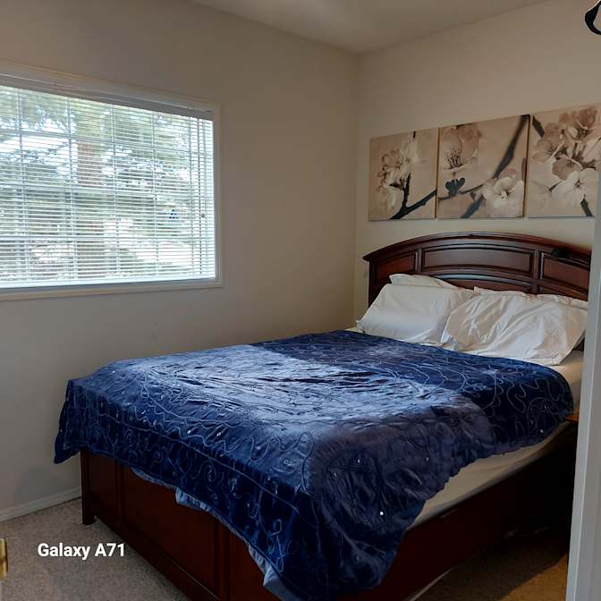 Lisa Falkowsky's room