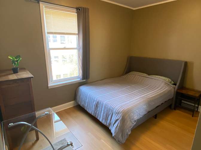 Tabby's room