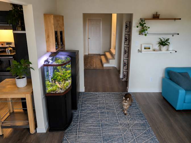 Jasen Masek's room