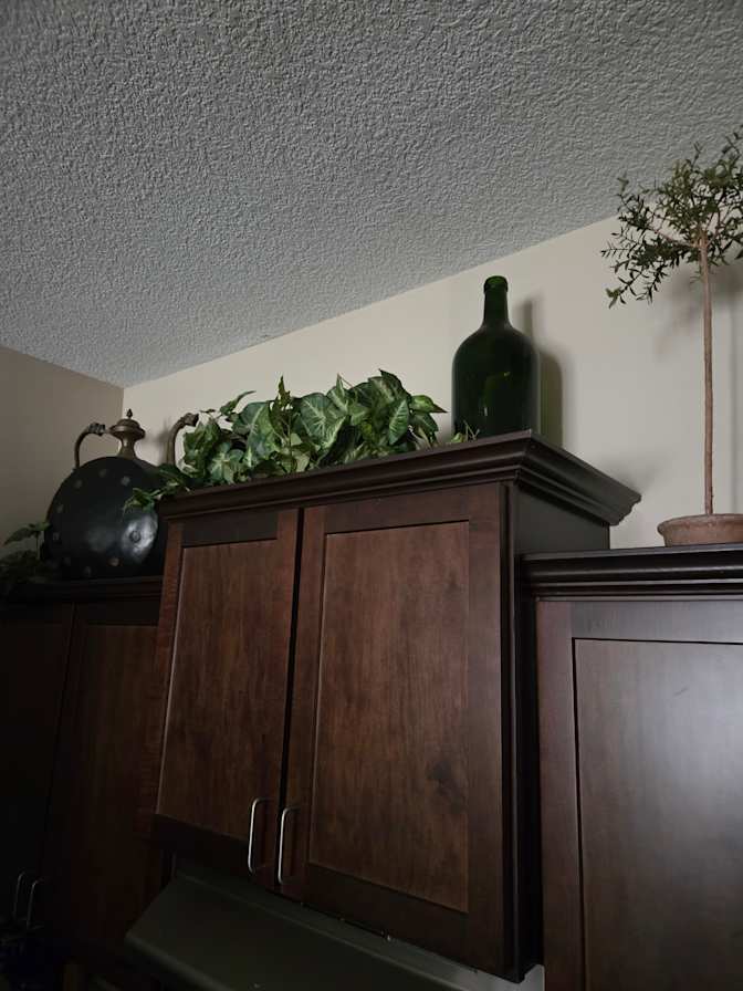 Everly R Stone's room