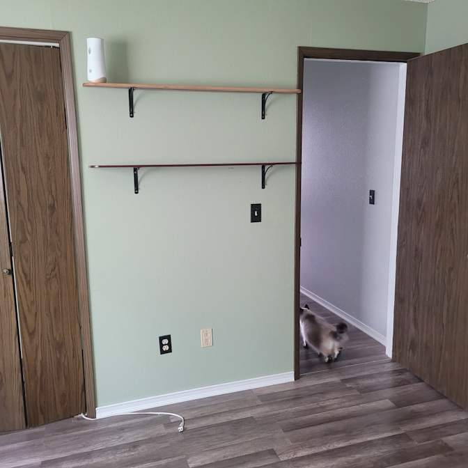 T's room