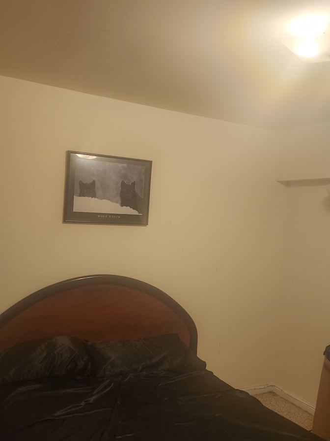 TEE ROOM's room
