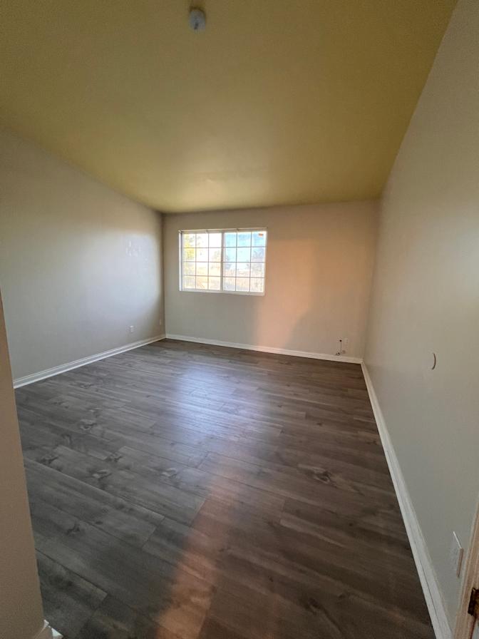 Mary's room