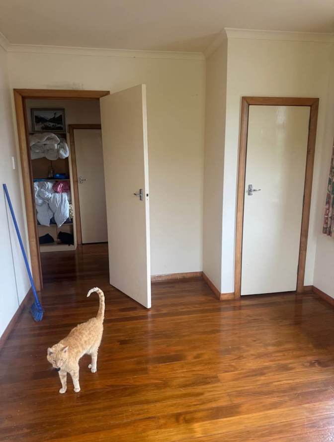 May's room