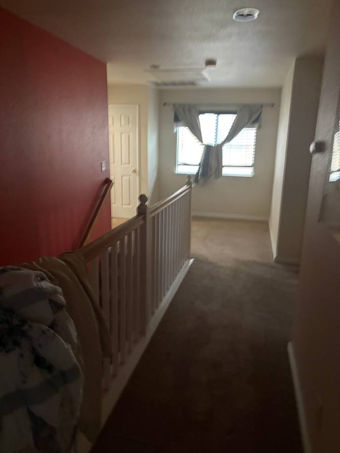 Daniel's room