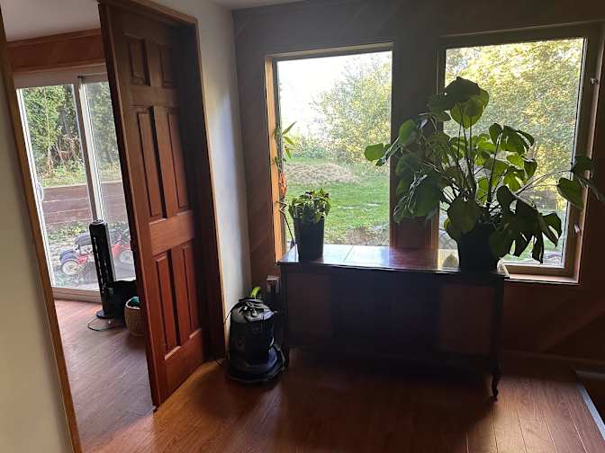 Apple's room