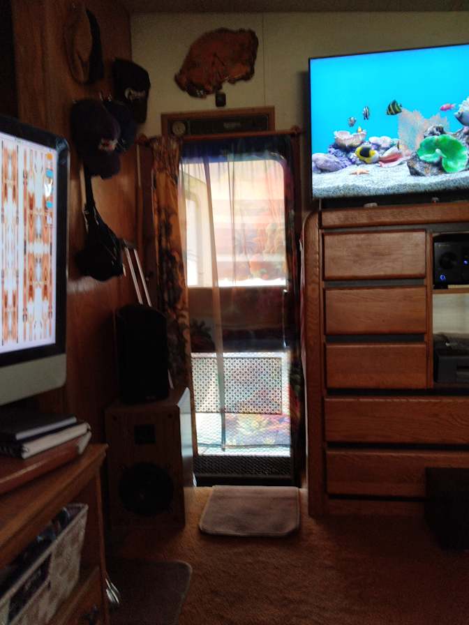 Daniel's room