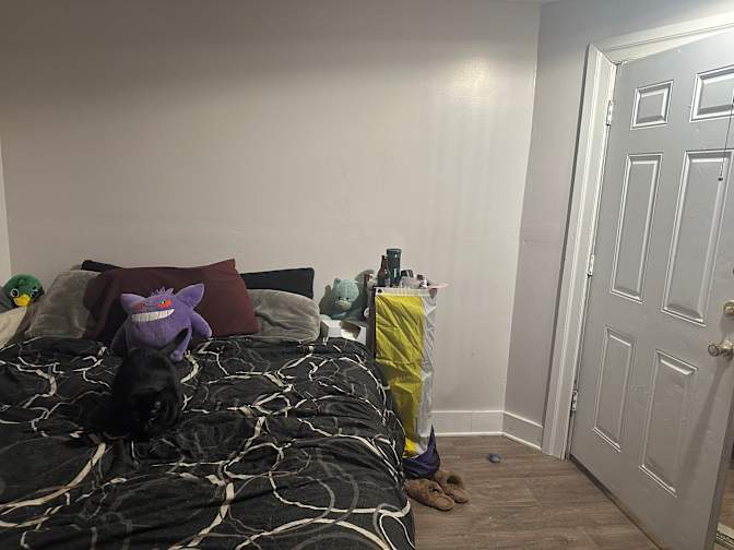 Jasper's room