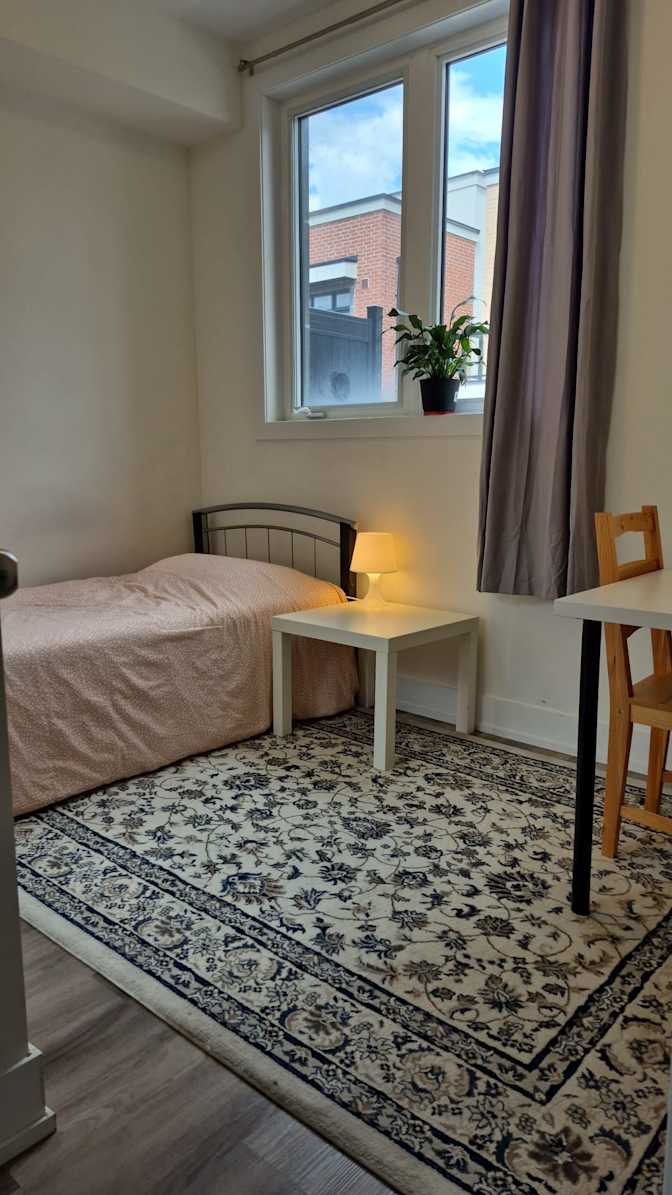 Meisam Rostaminia's room