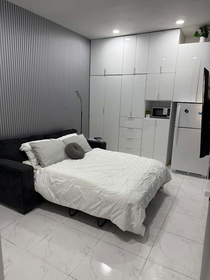 Mary's room