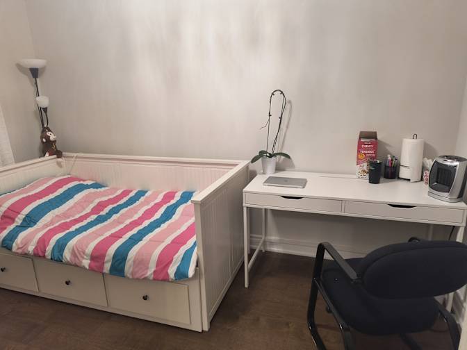 Goli's room