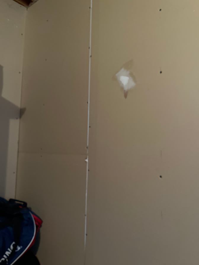 Carlo Zinatelli's room