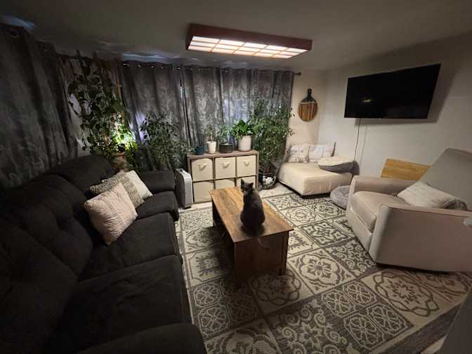BRANDILYN L DAVIDSON's room