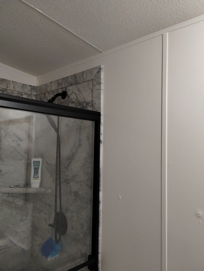 Ann's room