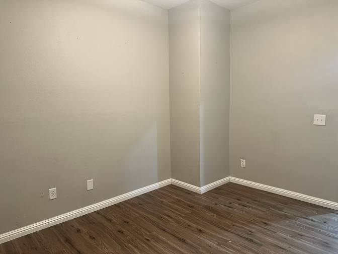 Camelia's room