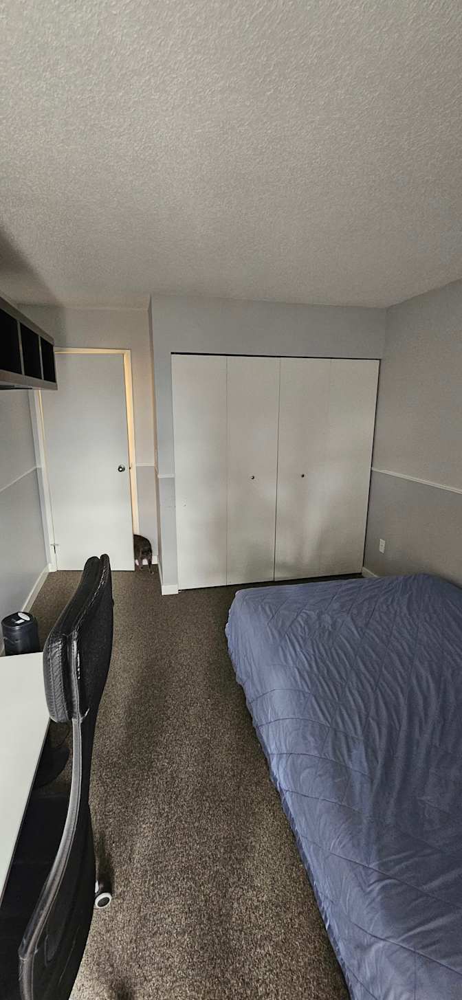 Marc Sauvageau's room