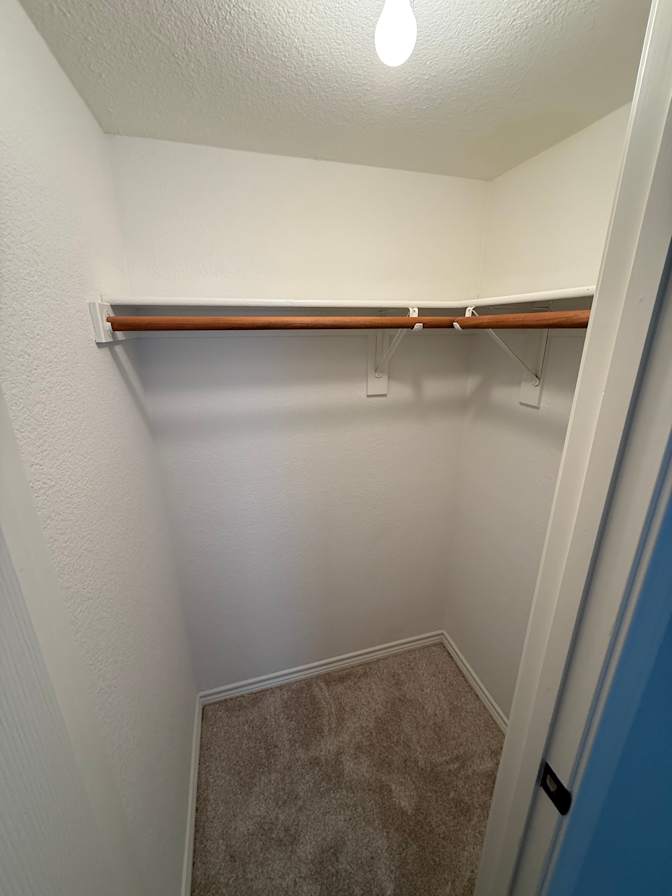 Carlos's room
