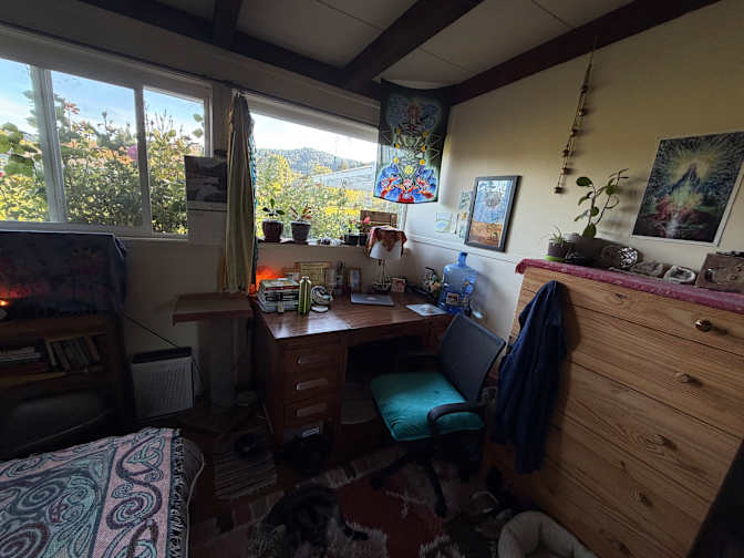 Irelynn's room