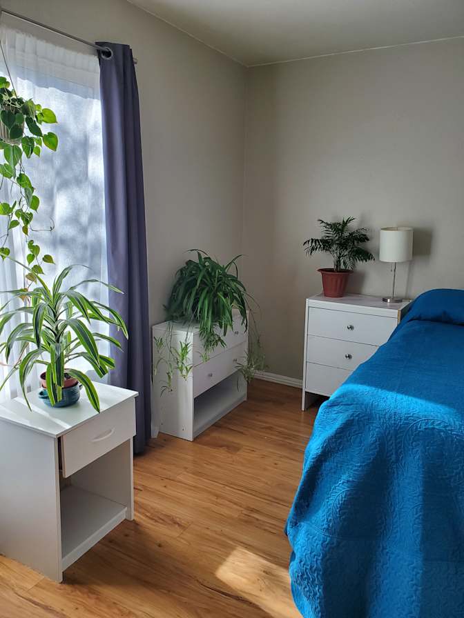 Cindi's room