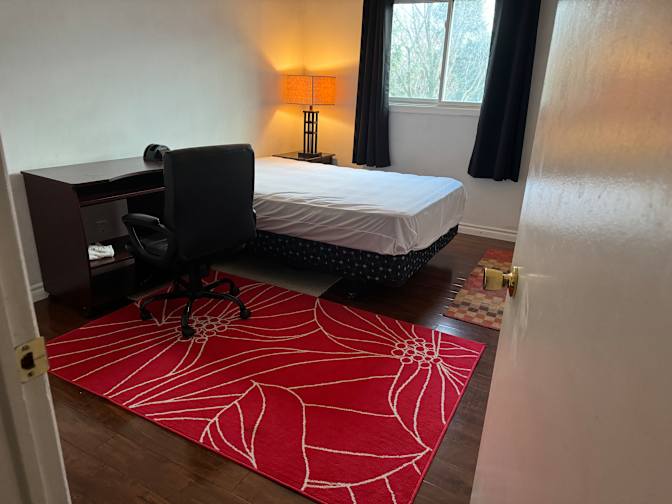 Saru's room