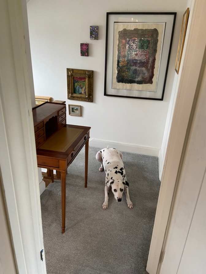 Anne's room