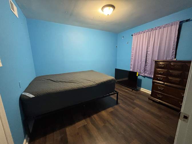 Daniela Hillis's room