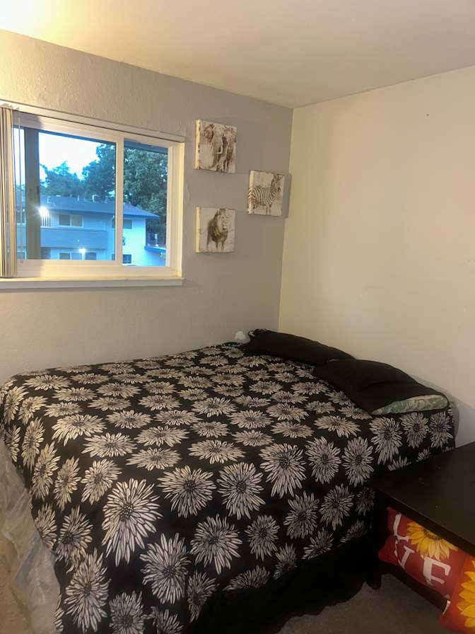 Jamaliah's room