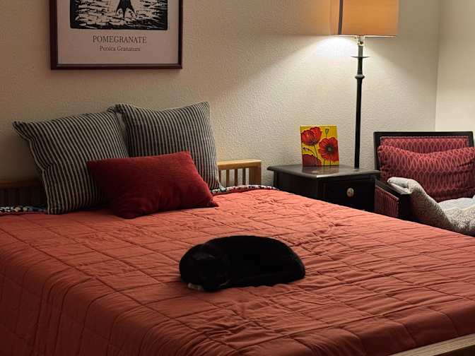 Allix's room