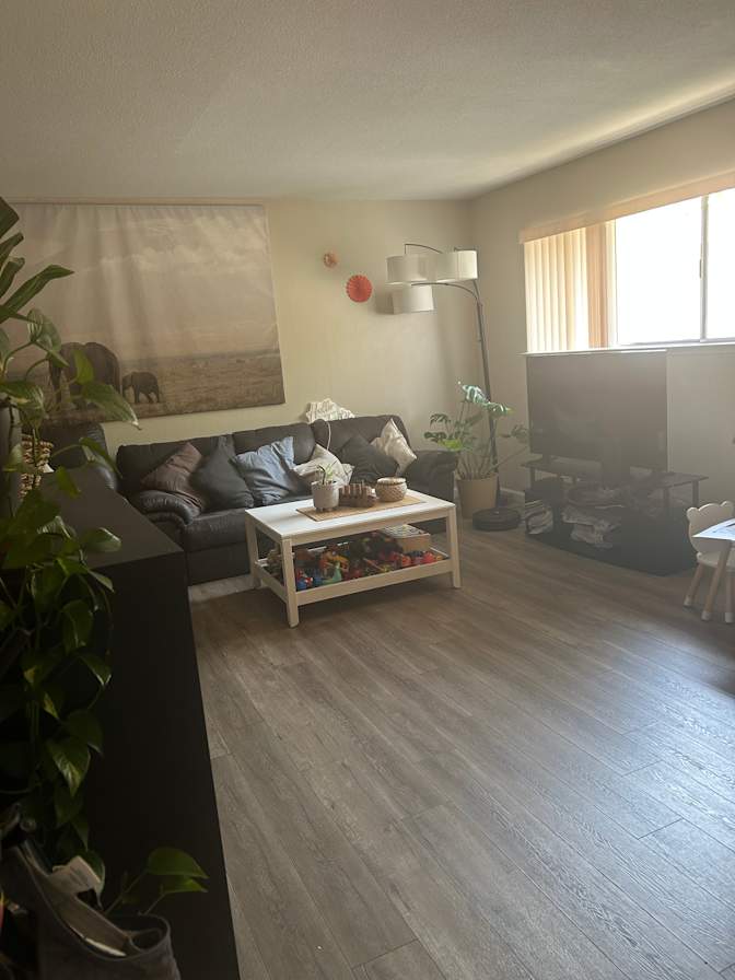 Patricia A L's room