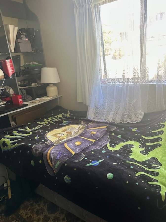 Svetlana's room