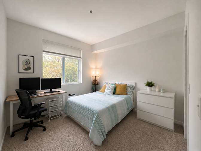 Farzad's room