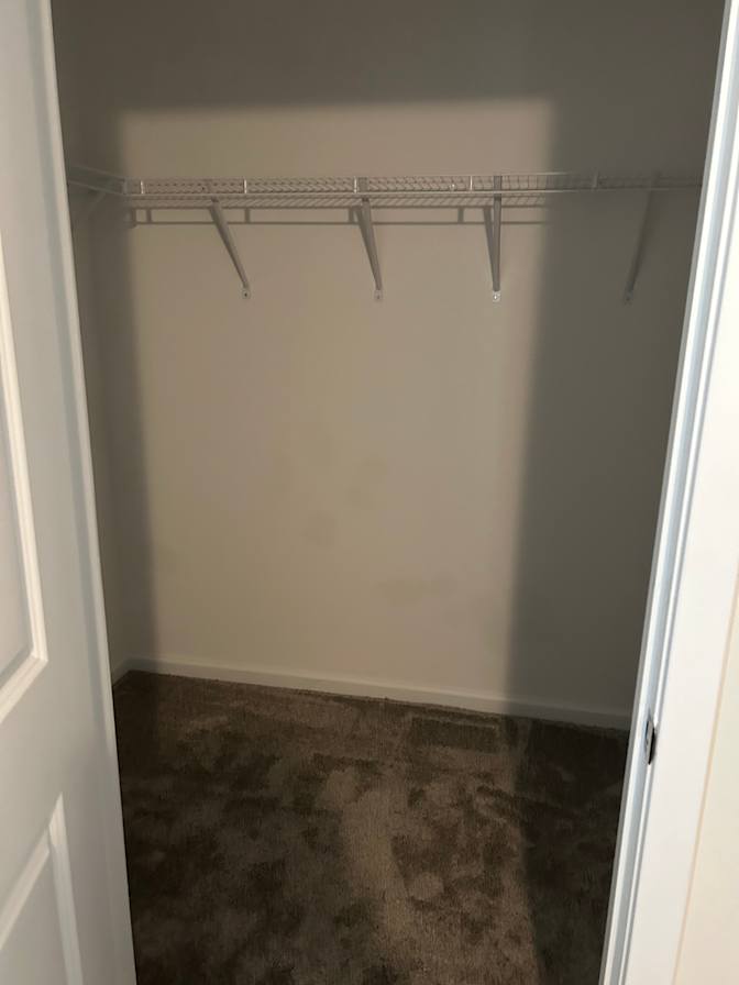 Rachel's room
