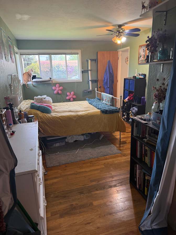Kinsley's room