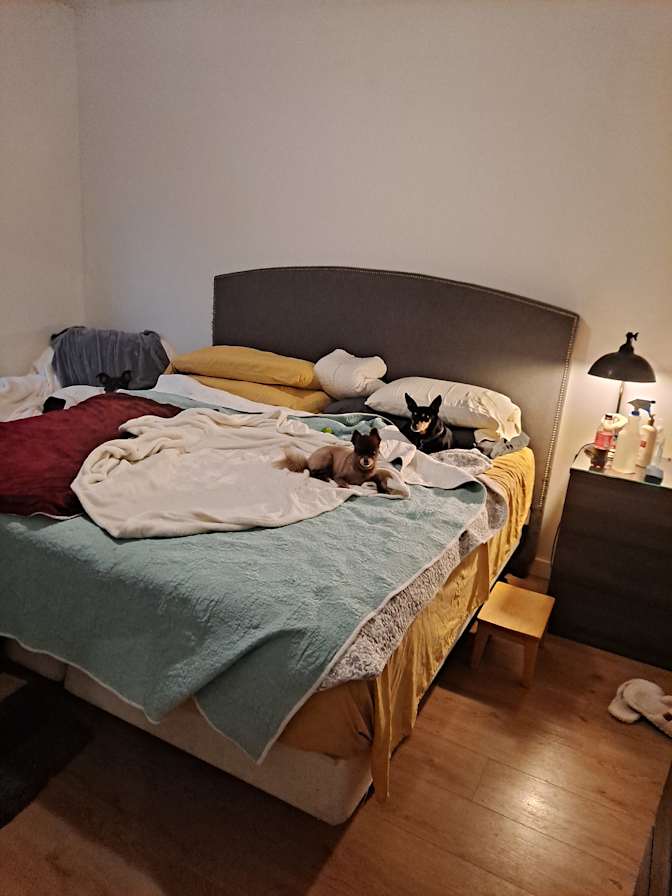 Barbara's room