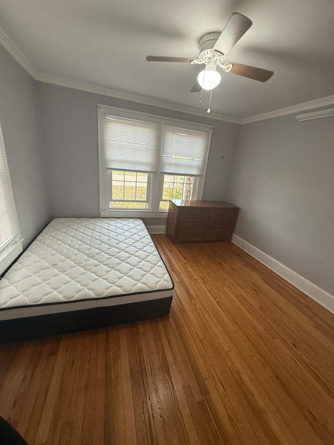 Courtney's room