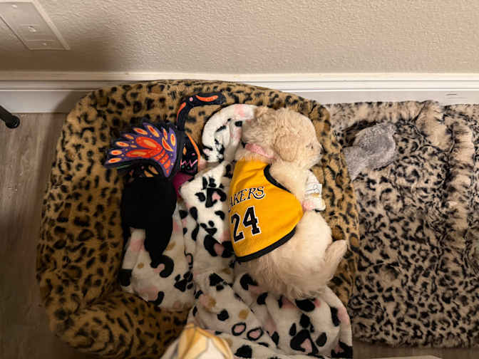 Leticia's room