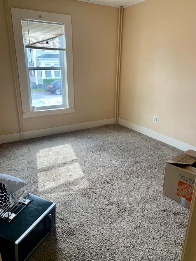 Cat's room