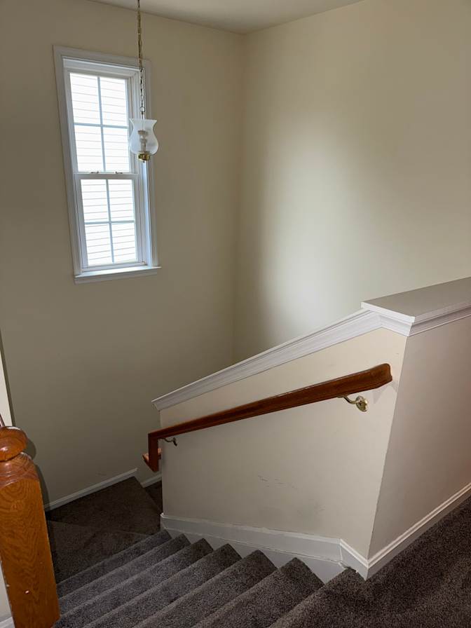 Hayley's room