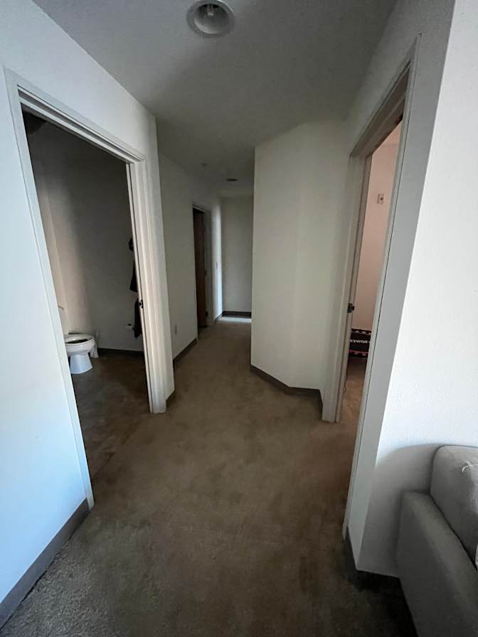 Sophie Xuan's room