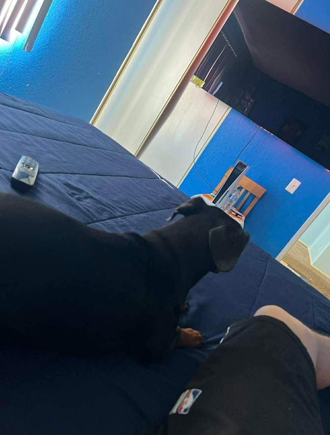 Jesse's room