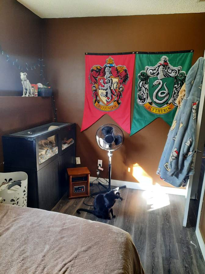 Elizabeth's room