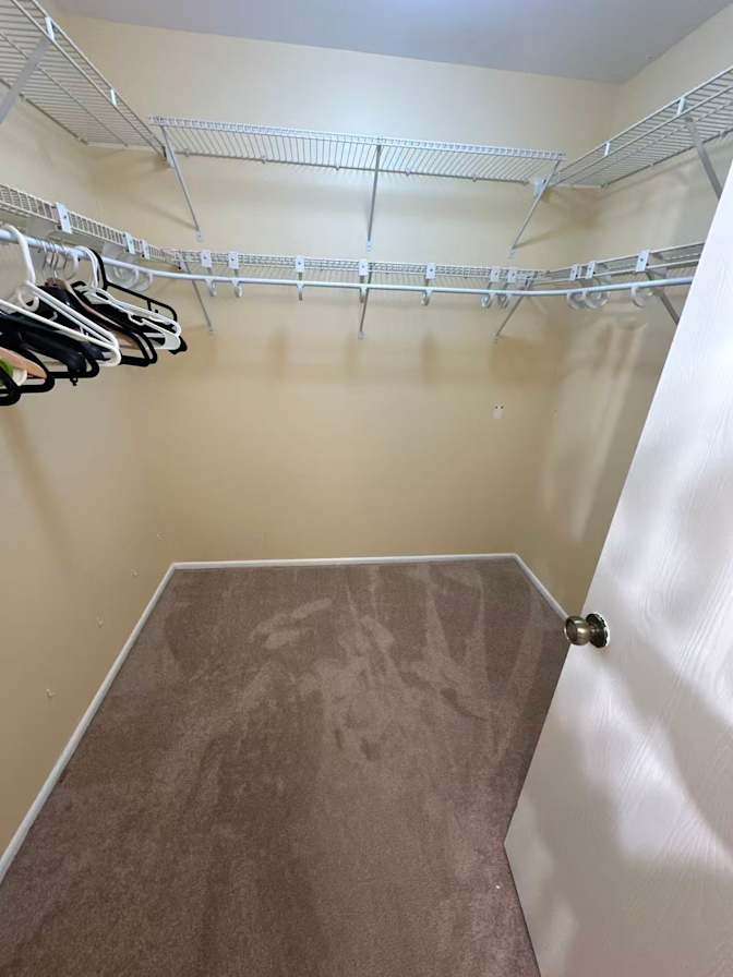 Yang's room